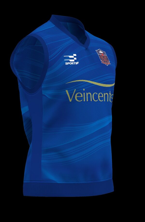 Senior Men's Sleeveless T20 Playing Sweater - Image 3